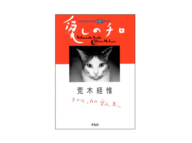 写真家 荒木経惟 チロ 日本で一番有名な猫 Ilove Cat