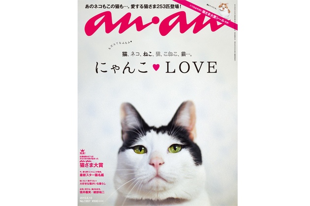 雑誌「anan」猫特集！ « ilove.cat